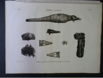 DESCRIPTION DE L'EGYPTE.  Thèbes. Hypogées. Momies et détails de crocodile, de serpent et de chien, tirées de la collection de Geoffroy Saint-Hilaire. (ANTIQUITES, volume II, planche 55) - First edition - Edition-Originale.com