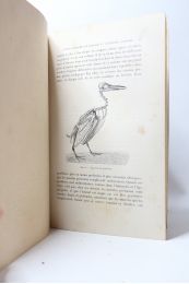 MAREY : Le vol des oiseaux - Edition Originale - Edition-Originale.com