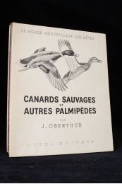 OBERTHUR : Canards sauvages et autres palmipèdes - Erste Ausgabe - Edition-Originale.com