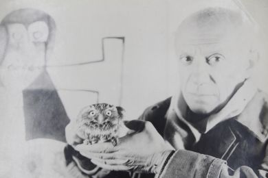 PICASSO : Photographie originale de Pablo Picasso tenant une chouette dans son atelier du Château Grimaldi à Antibes - Prima edizione - Edition-Originale.com