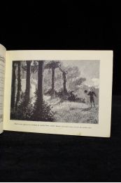 SERAO : La dernière fée, conte pour les enfants - First edition - Edition-Originale.com