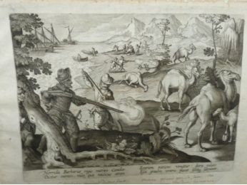 La chasse aux chameaux - Erste Ausgabe - Edition-Originale.com