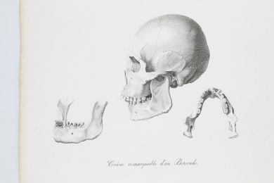 WIED-NEUWIED : Crâne remarquable d'un Botocude / Les Indiens en route - Voyage au Brésil, Dans les années 1815, 1816 et 1817, par S. A. S. Maximilien, Prince de Wied-Neuwied.  - Erste Ausgabe - Edition-Originale.com