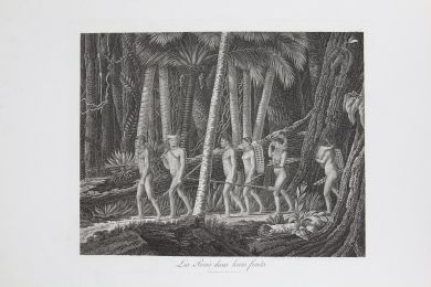 WIED-NEUWIED : Les Puris dans leurs forêts - Voyage au Brésil, Dans les années 1815, 1816 et 1817, par S. A. S. Maximilien, Prince de Wied-Neuwied.  - Edition Originale - Edition-Originale.com