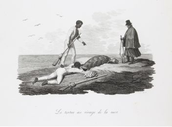 WIED-NEUWIED : Soldats à Linhares / La tortue au rivage de la mer - Voyage au Brésil, Dans les années 1815, 1816 et 1817, par S. A. S. Maximilien, Prince de Wied-Neuwied.  - First edition - Edition-Originale.com