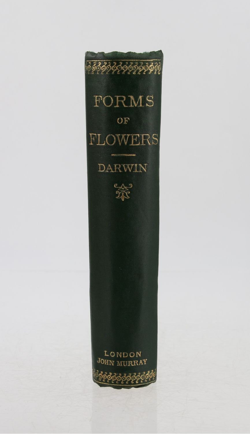 darwin-the-different-forms-of-flowers-on-plants-of-the-same-species