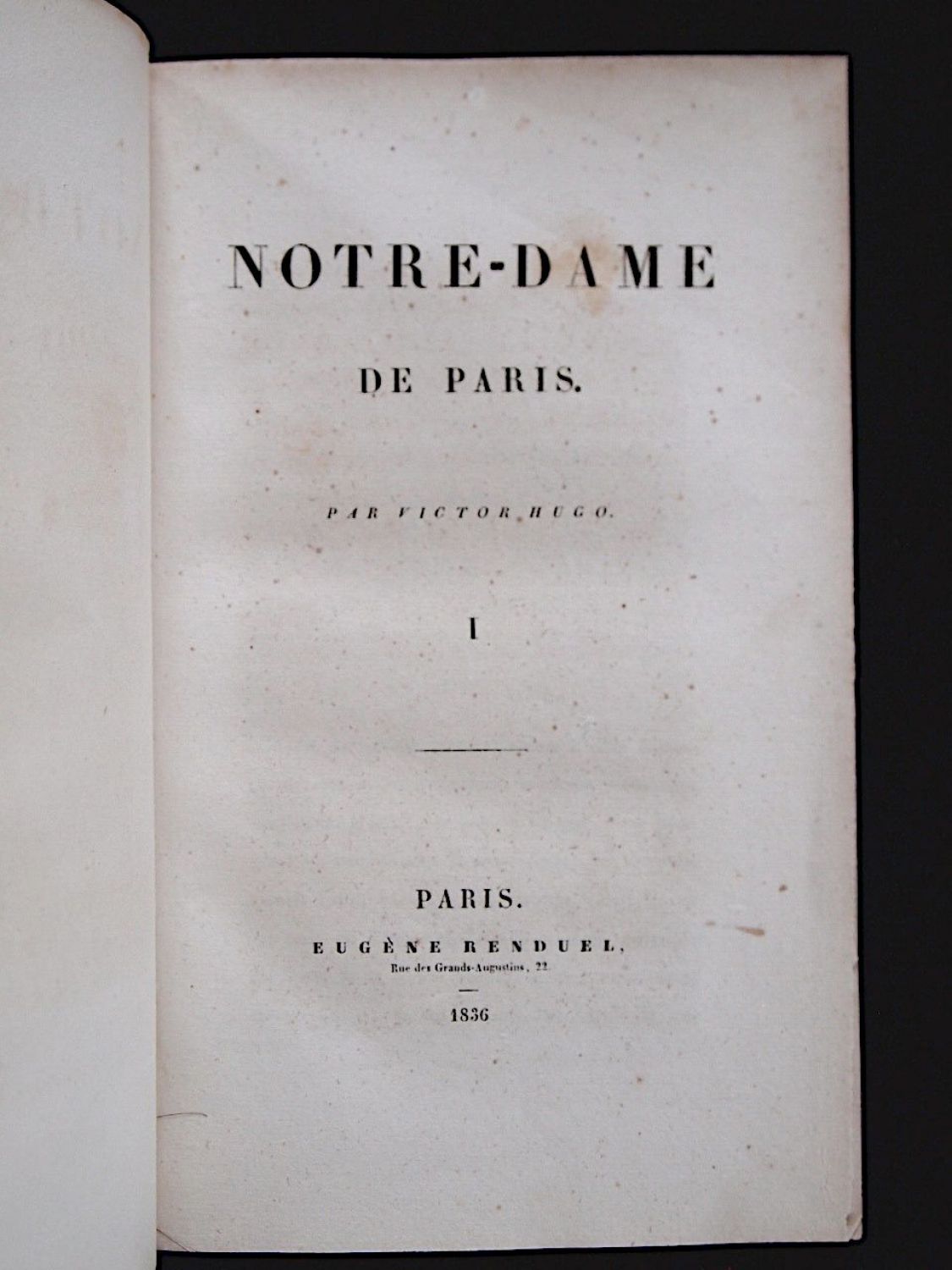 Notre Dame de Paris” di Victor Hugo – Mr. Tannus